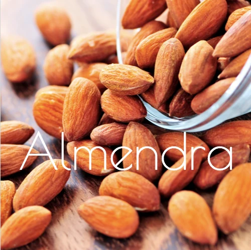 Almendra beautiful Spanish word